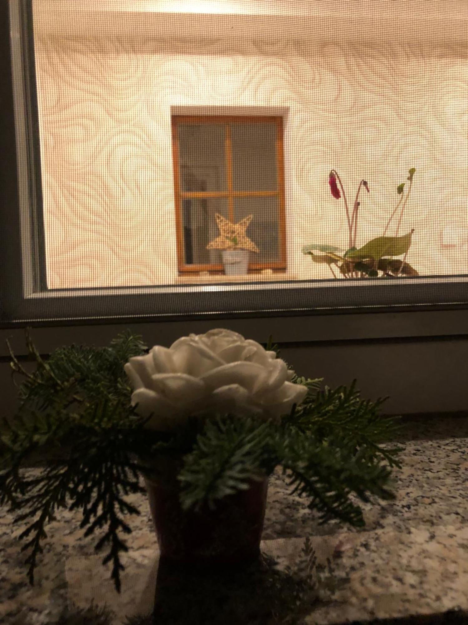 Dirks Schmuckstuck Villa ไวส์วาสเซอร์ ภายนอก รูปภาพ